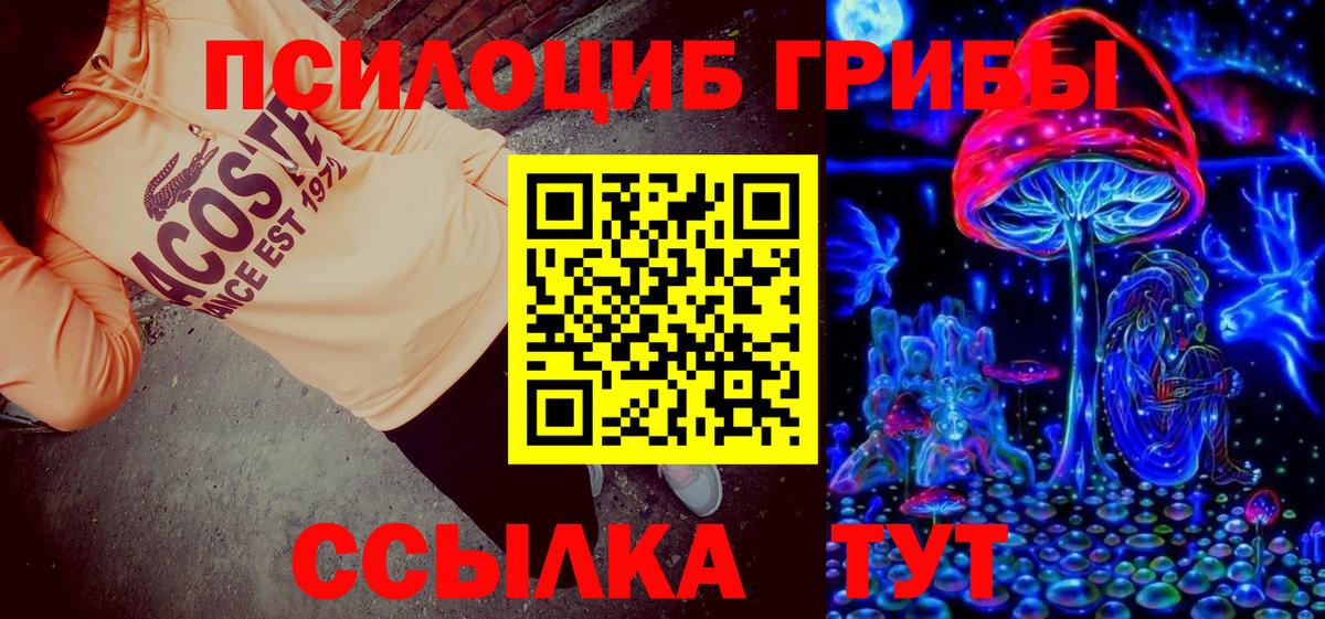 Галлюциногенные грибы Psilocybe  Вход с VPN  Новошахтинск 