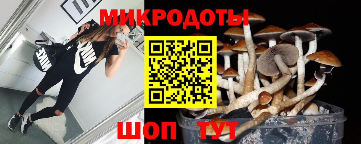 Галлюциногенные грибы ЛСД Новошахтинск